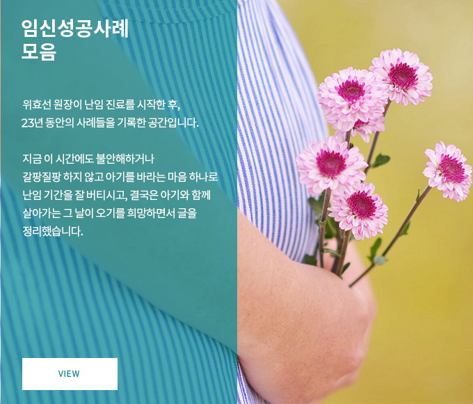 임신성공사례 모음