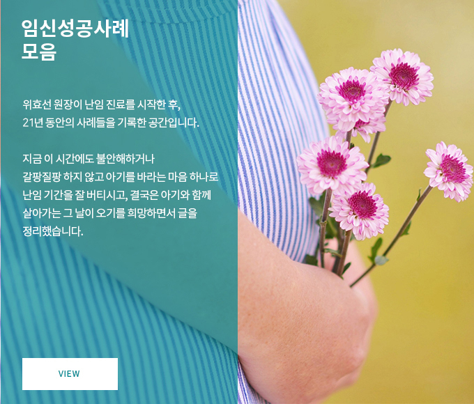 임신성공사례 모음