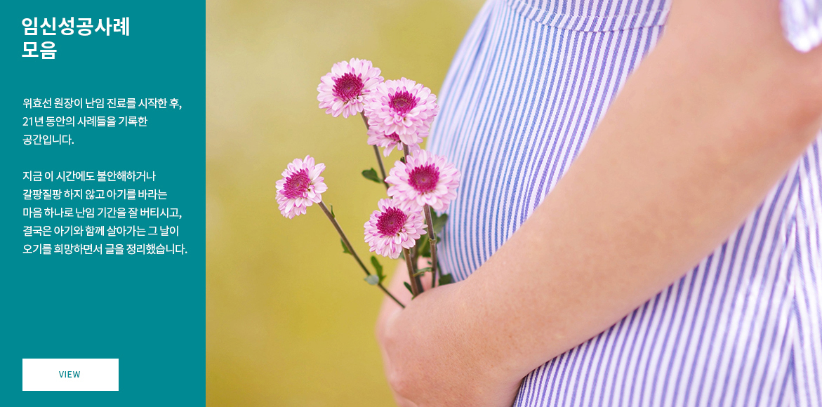 임신성공사례 모음